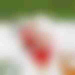 Kopėčiomis lipantis Kalėdų Senis SANTACLIMB