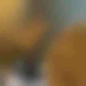 Šakų žibintai | BRANCHLUMOS