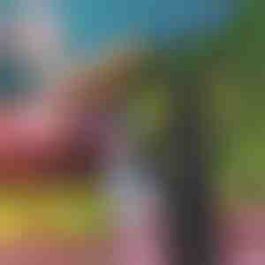 Automatinis muses atbaidantis ventiliatorius | FLYBEGONE