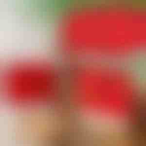 Kalėdinio stiliaus valgomojo kėdžių užvalkalai (4 vnt.) | SANTASEAT