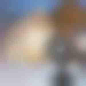 LED projektorius su sniego dulke | SNOWLAMP