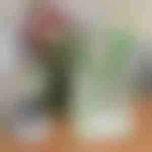 Elegantiška knygos formos vaza gėlėms | FLOWERFRAME