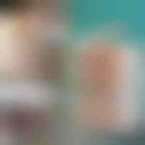 Sandėliavimo dėžė su dangčiu | ORGABOX