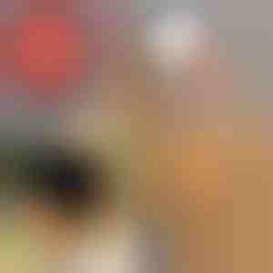 Nerta kepurė su anga kasai | BEANIEHUT 1+1 NEMOKAMAI