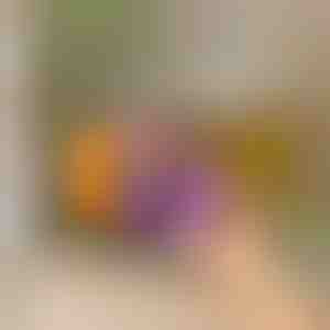 Šaldytuvo organizatorius su automatinio slydimo funkcija | DRINZER