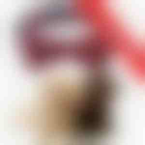 2 x Šventinis antkaklis šunims su snaigėmis | DOGICOLLAR